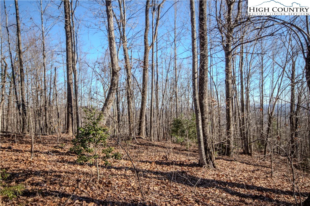Image number 9 for the current listing