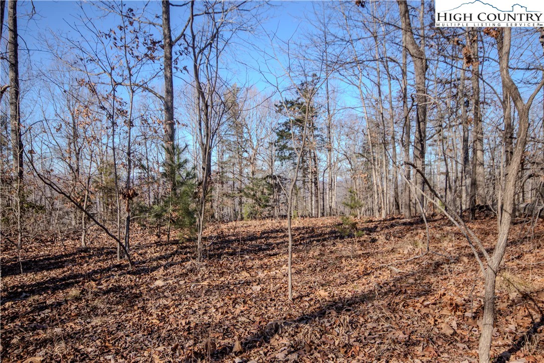 Image number 11 for the current listing