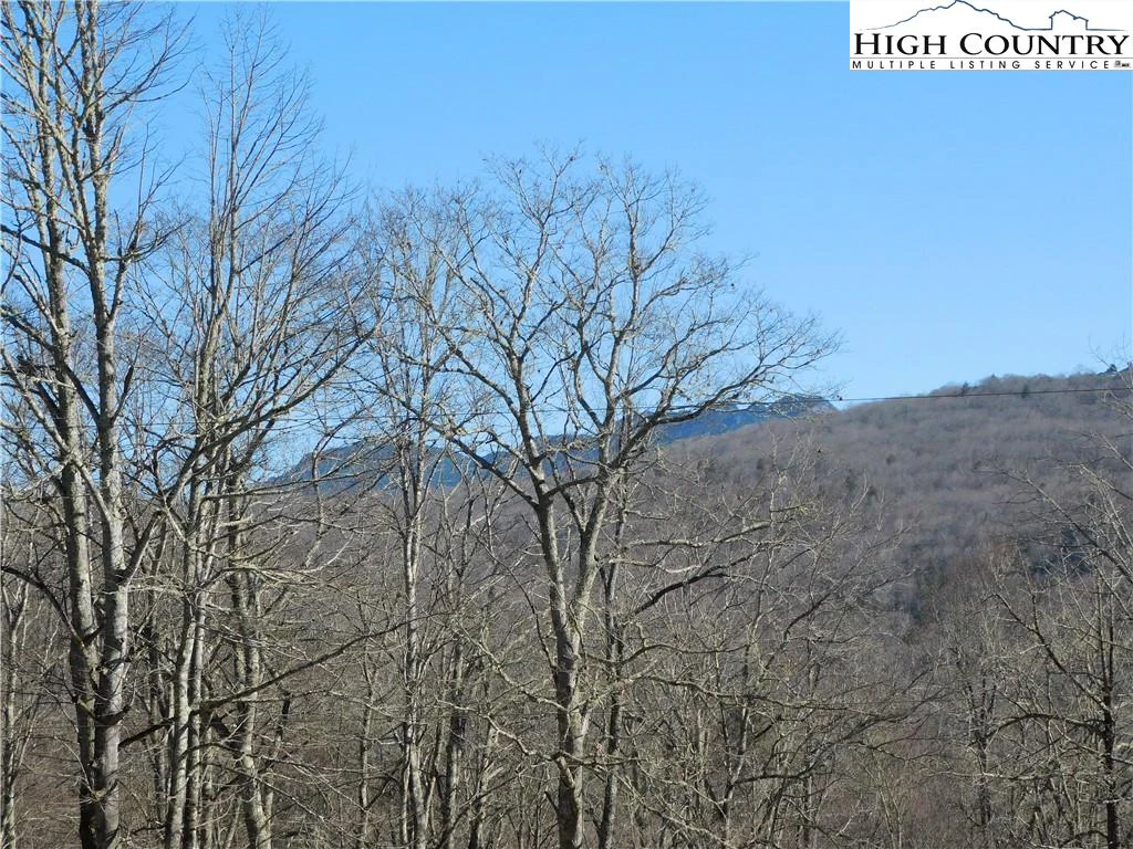Image number 17 for the current listing