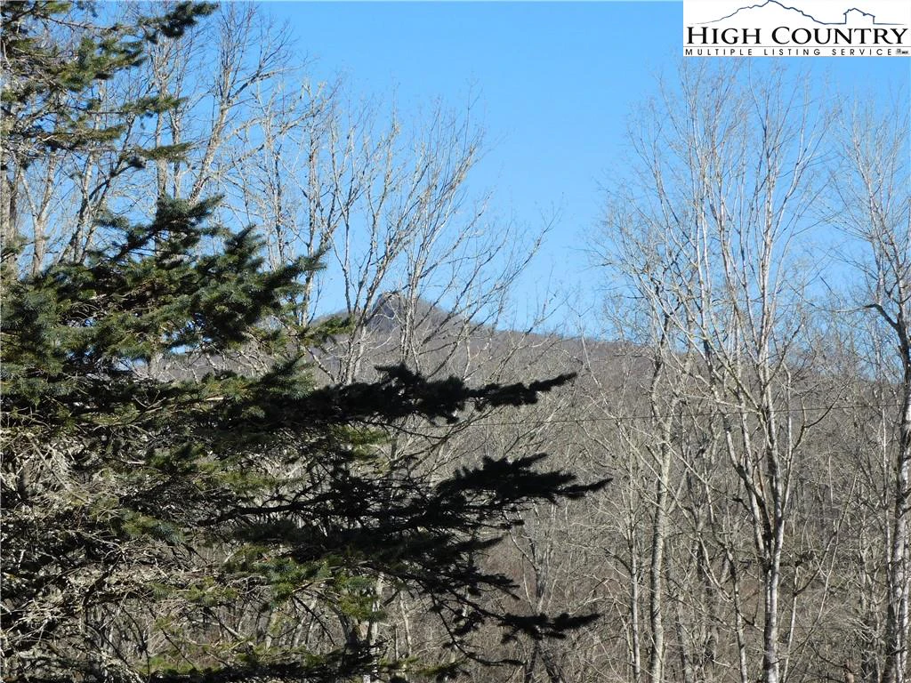 Image number 18 for the current listing