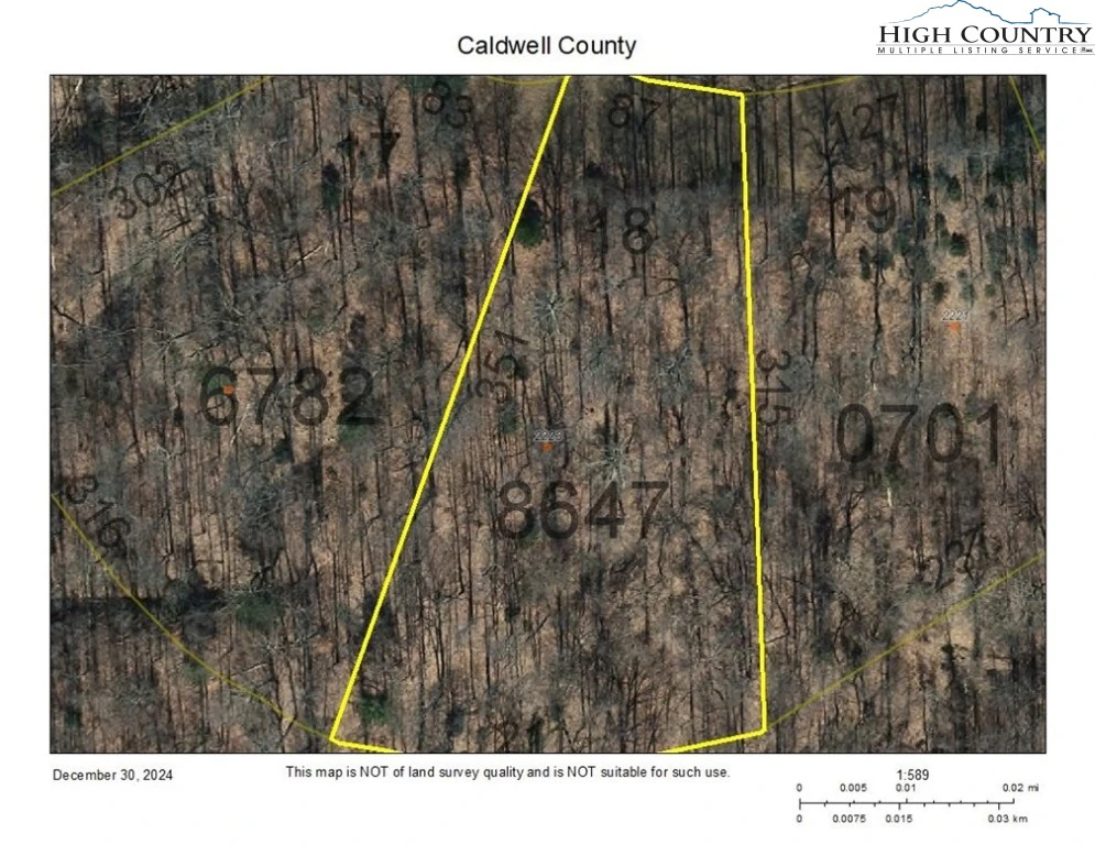 Image number 1 for the current listing