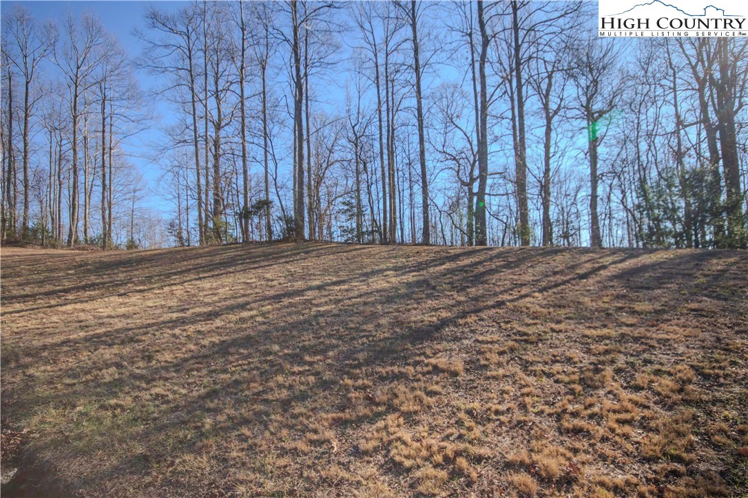 Image number 3 for the current listing