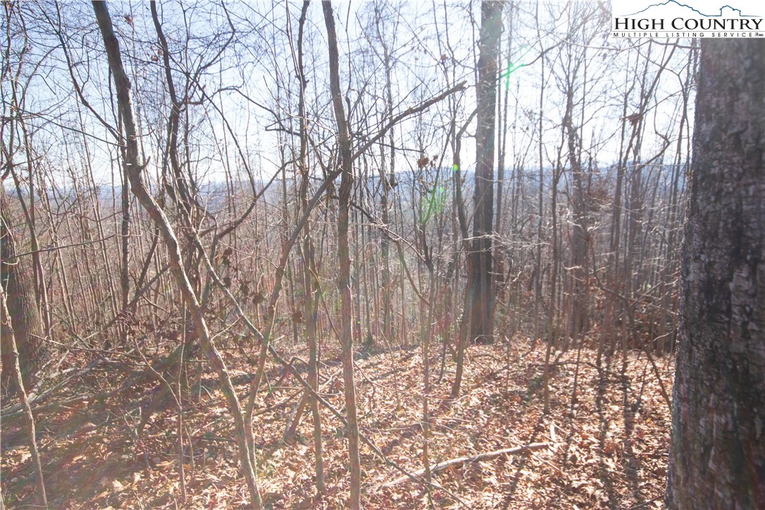 Image number 6 for the current listing