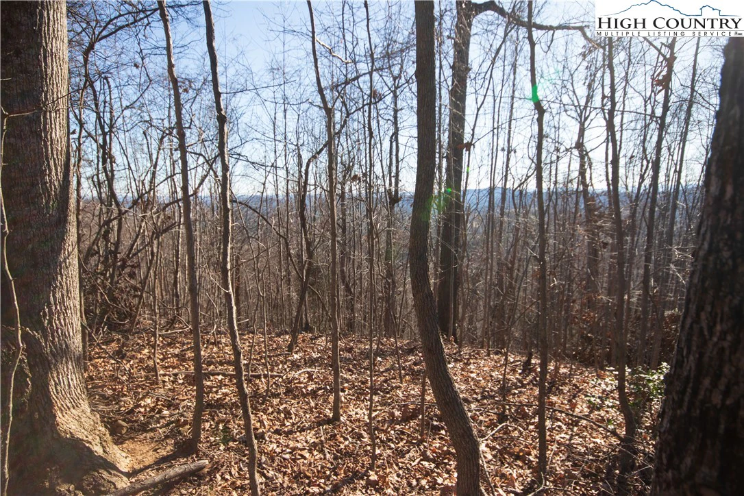 Image number 7 for the current listing