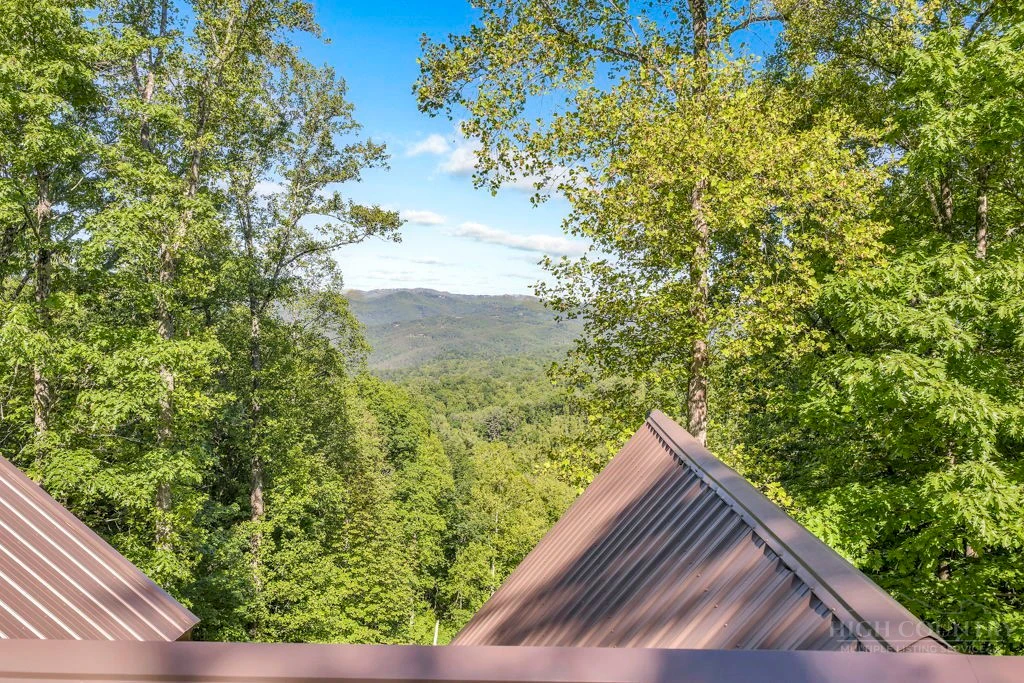Image number 6 for the current listing