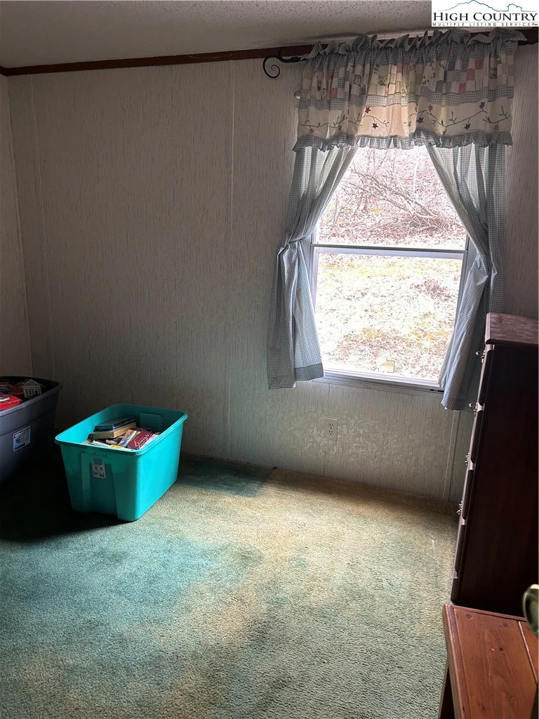 Image number 11 for the current listing