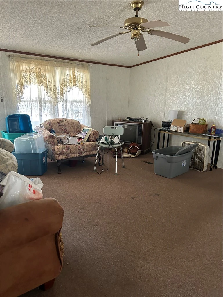 Image number 12 for the current listing