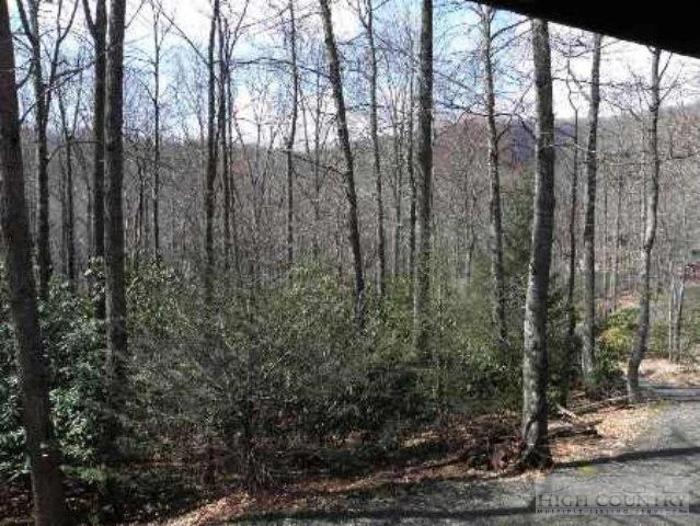 Image number 12 for the current listing