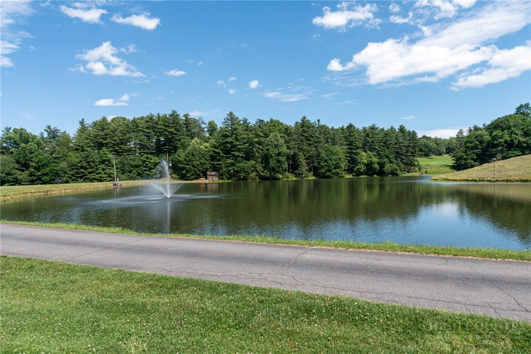 Image number 6 for the current listing