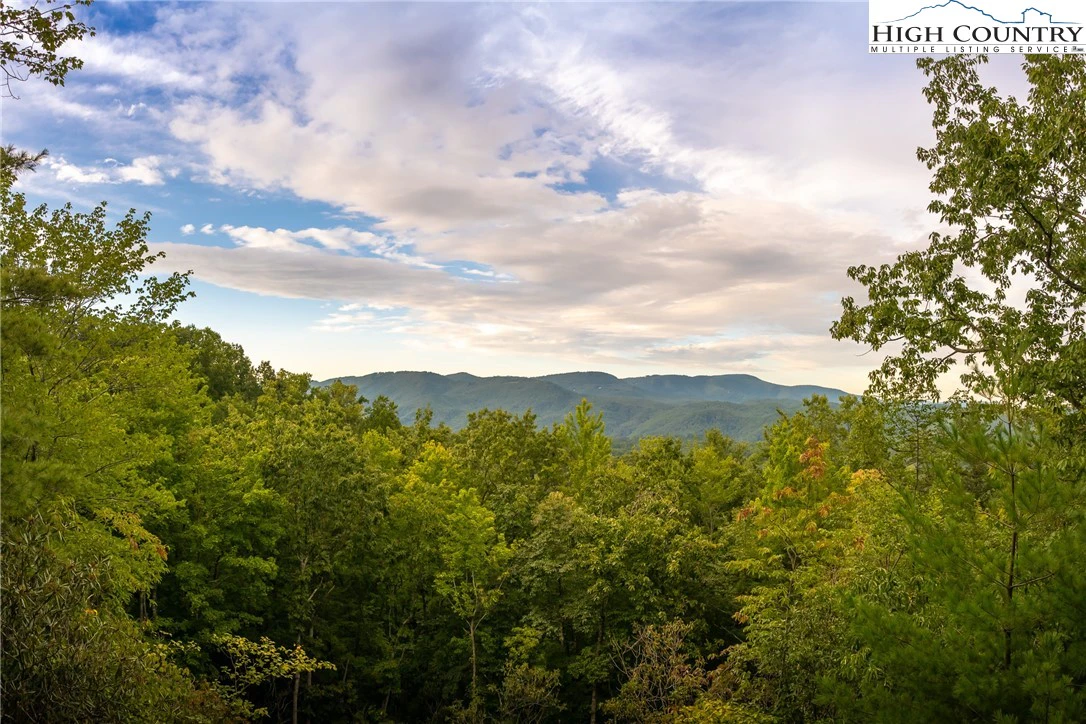 Image number 1 for the current listing