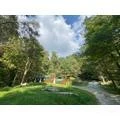 Image number 1 for the current listing