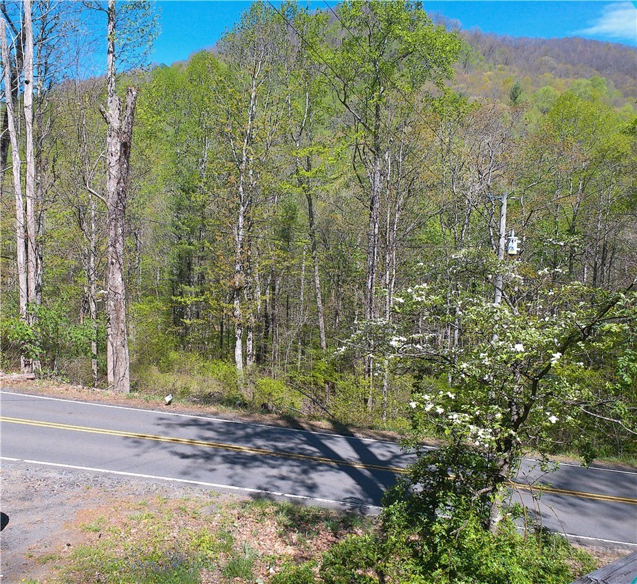 Image number 4 for the current listing