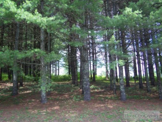 Image number 2 for the current listing