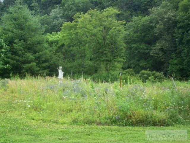 Image number 13 for the current listing