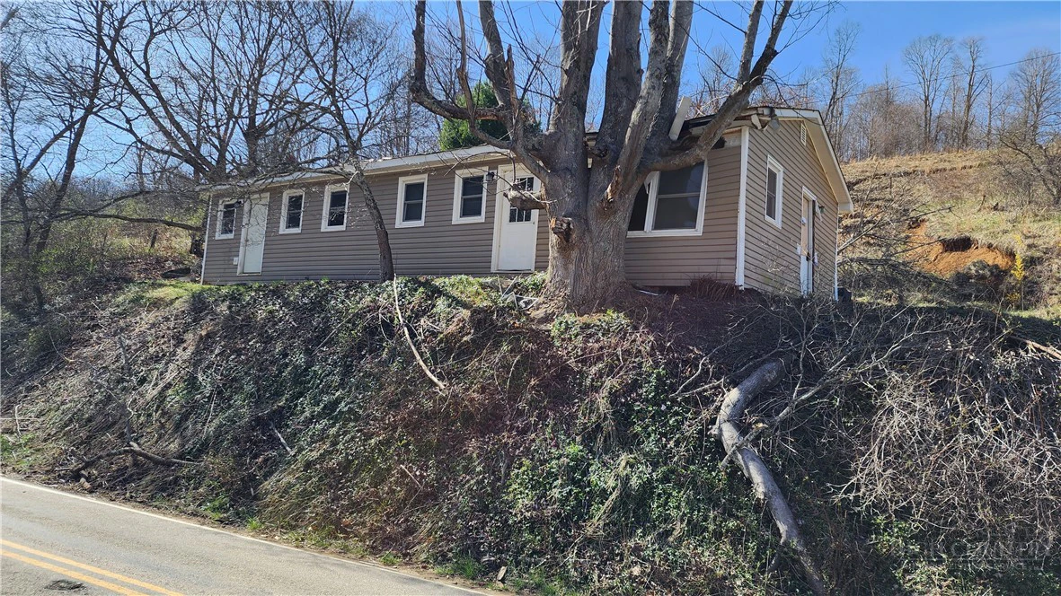 Image number 1 for the current listing