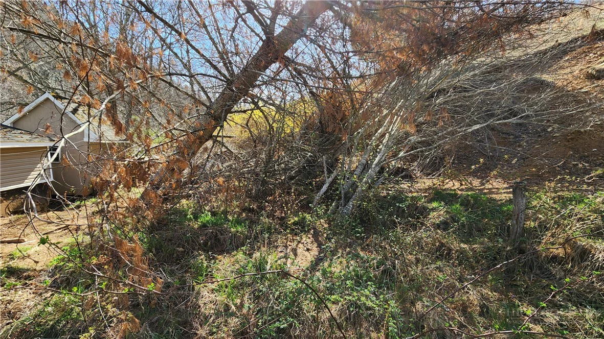 Image number 14 for the current listing
