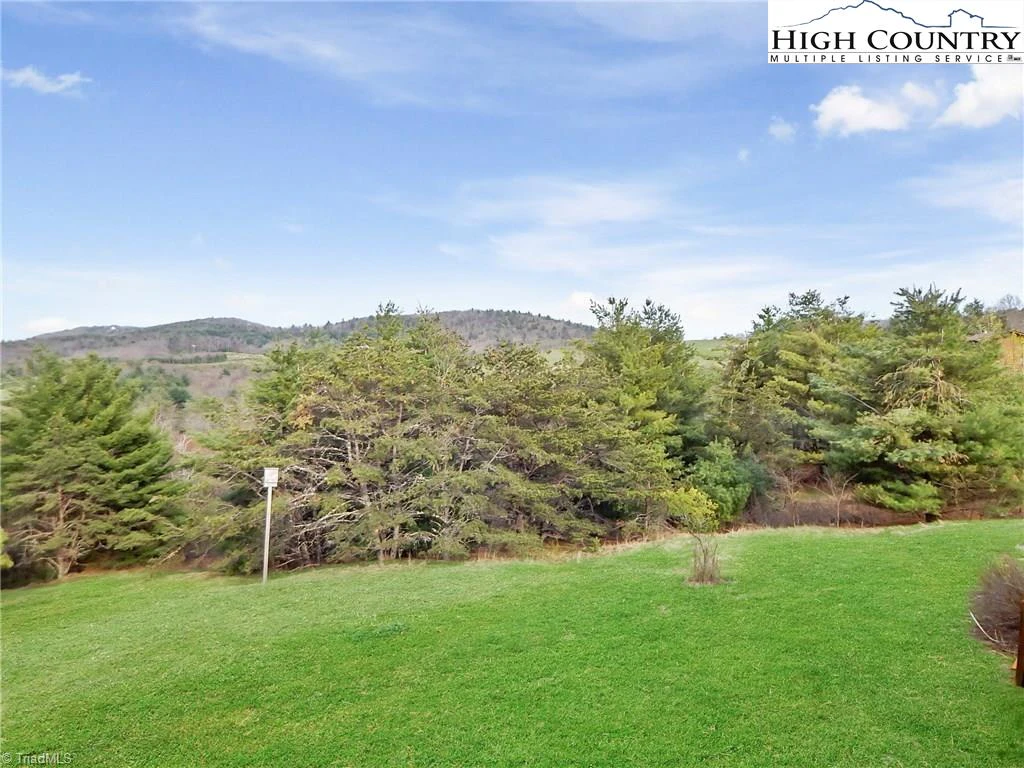 Image number 8 for the current listing