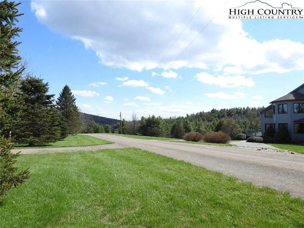 Image number 4 for the current listing