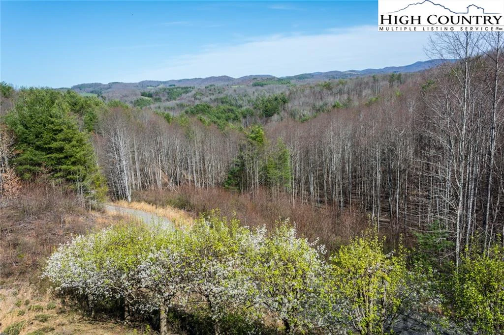 Image number 16 for the current listing