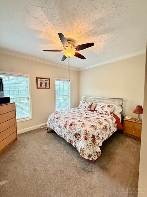 Image number 14 for the current listing