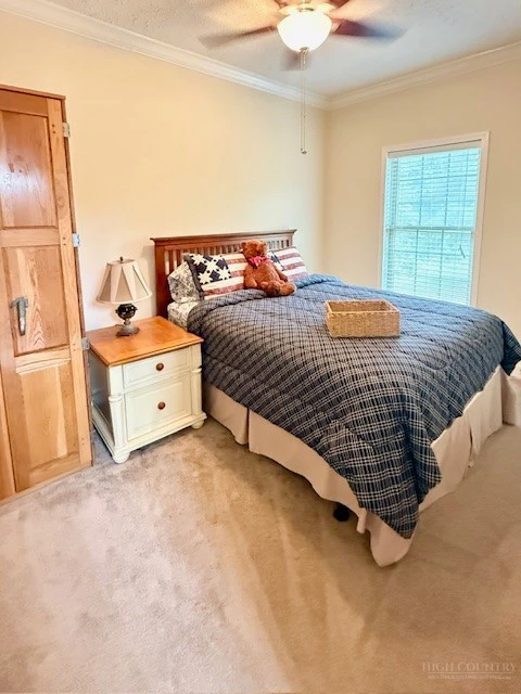 Image number 15 for the current listing