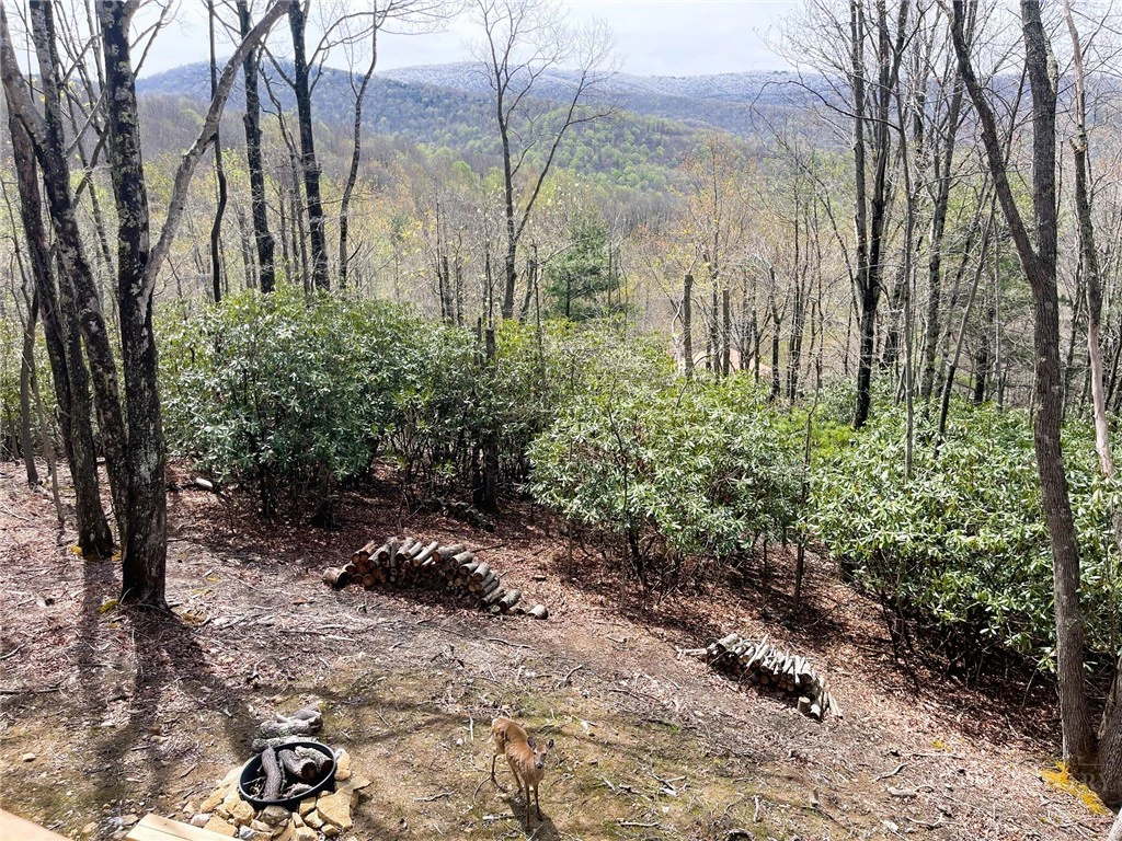 Image number 17 for the current listing