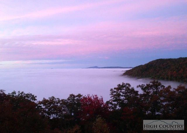 Image number 15 for the current listing
