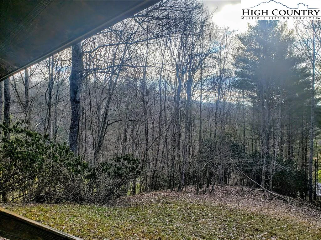 Image number 11 for the current listing