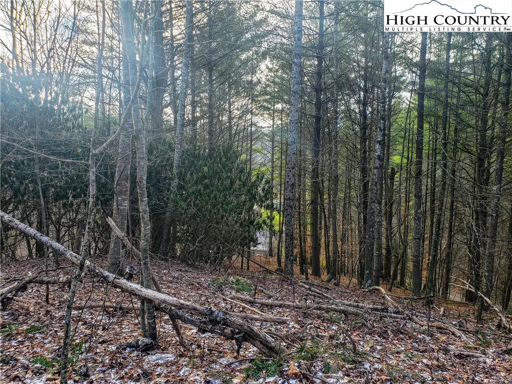 Image number 10 for the current listing