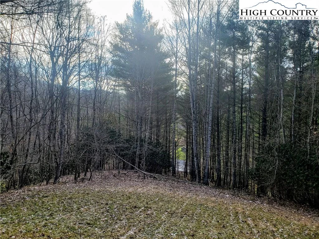 Image number 9 for the current listing
