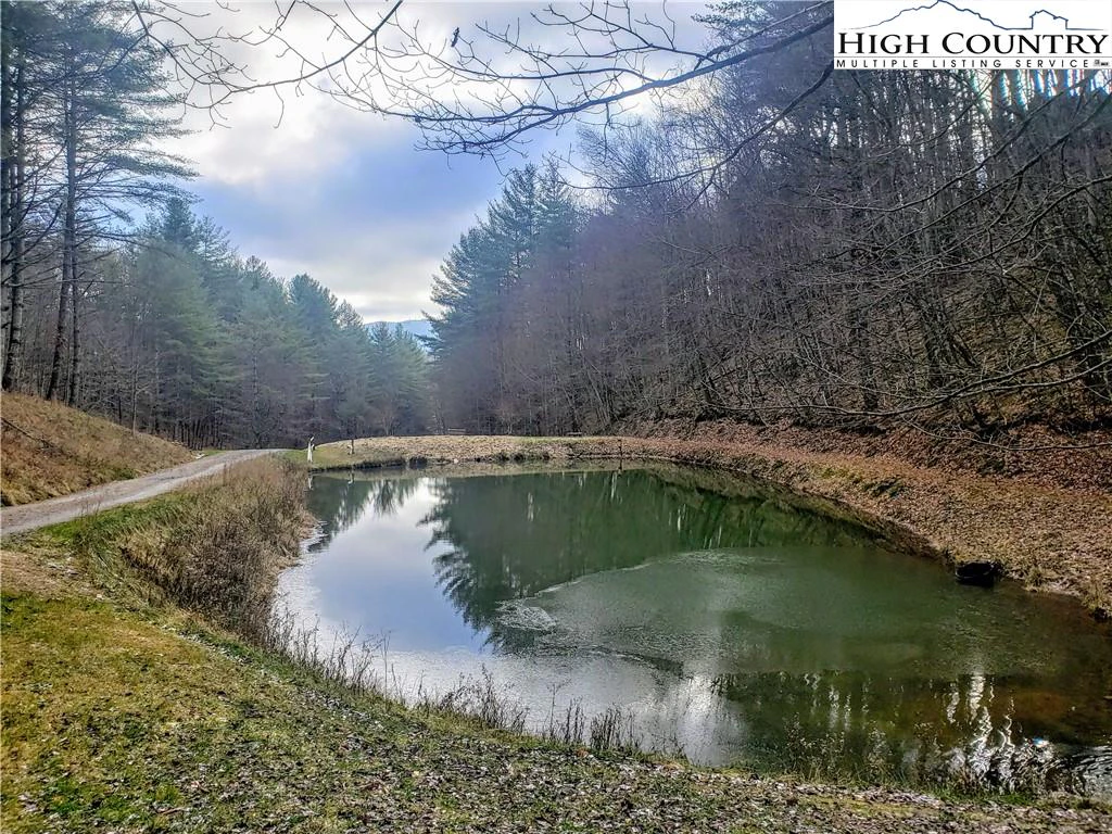 Image number 7 for the current listing