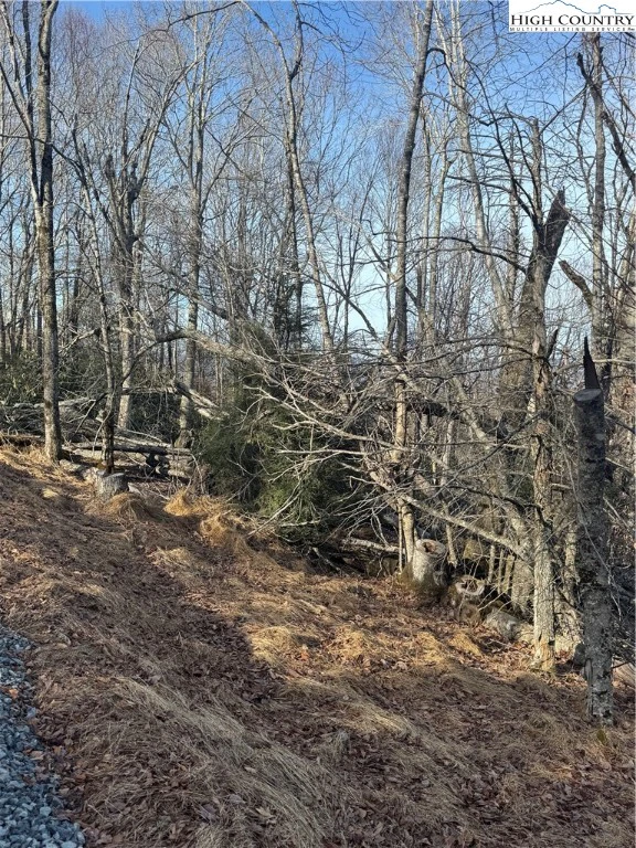 Image number 3 for the current listing