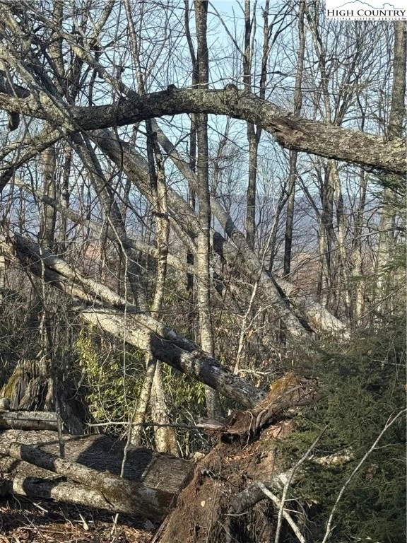 Image number 6 for the current listing