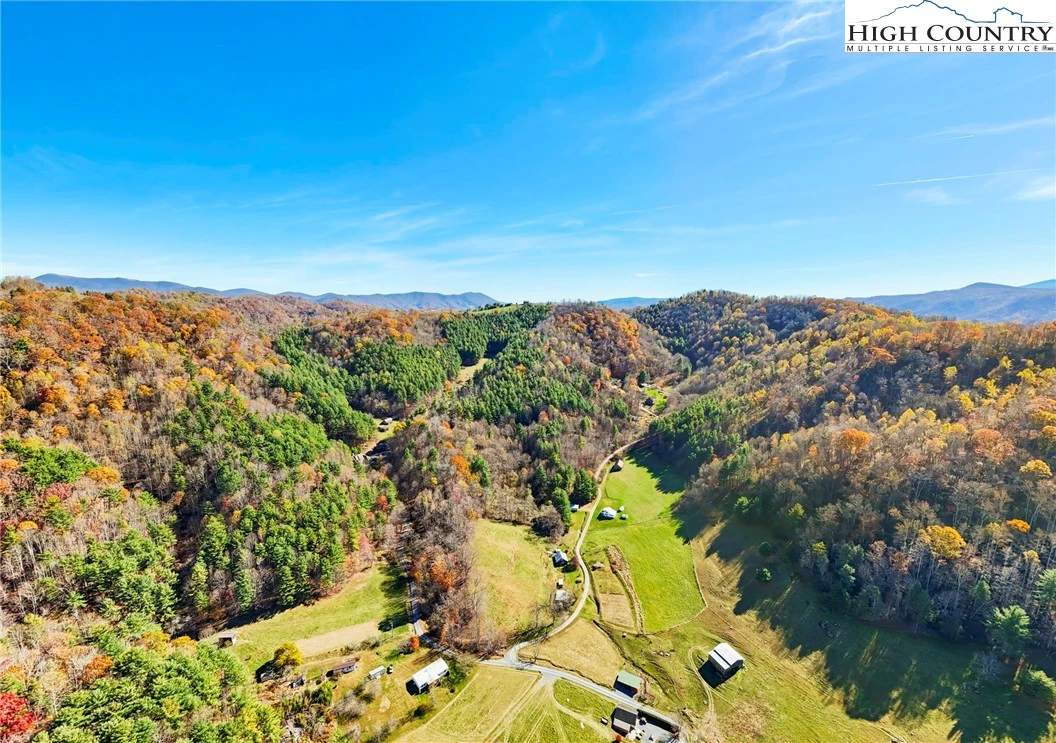Image number 1 for the current listing