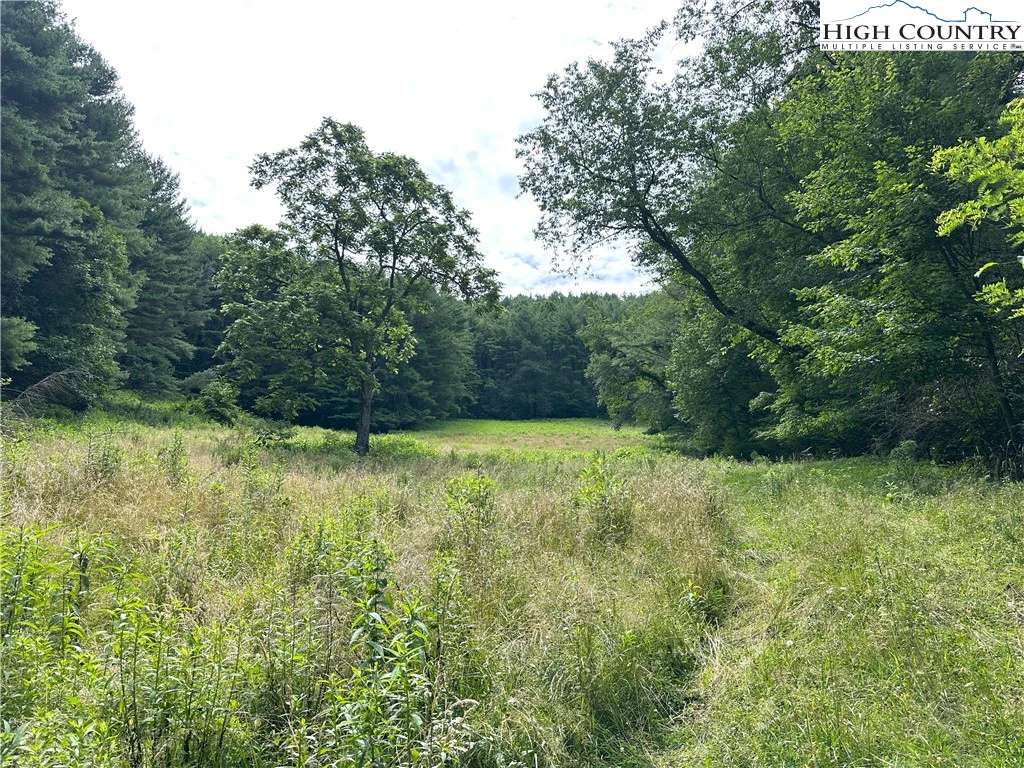 Image number 14 for the current listing