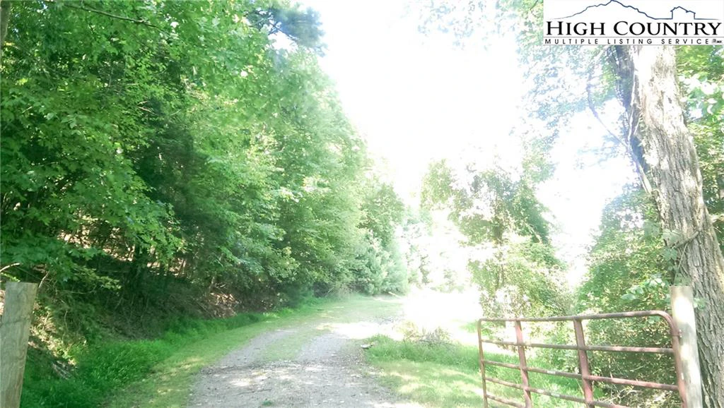 Image number 3 for the current listing