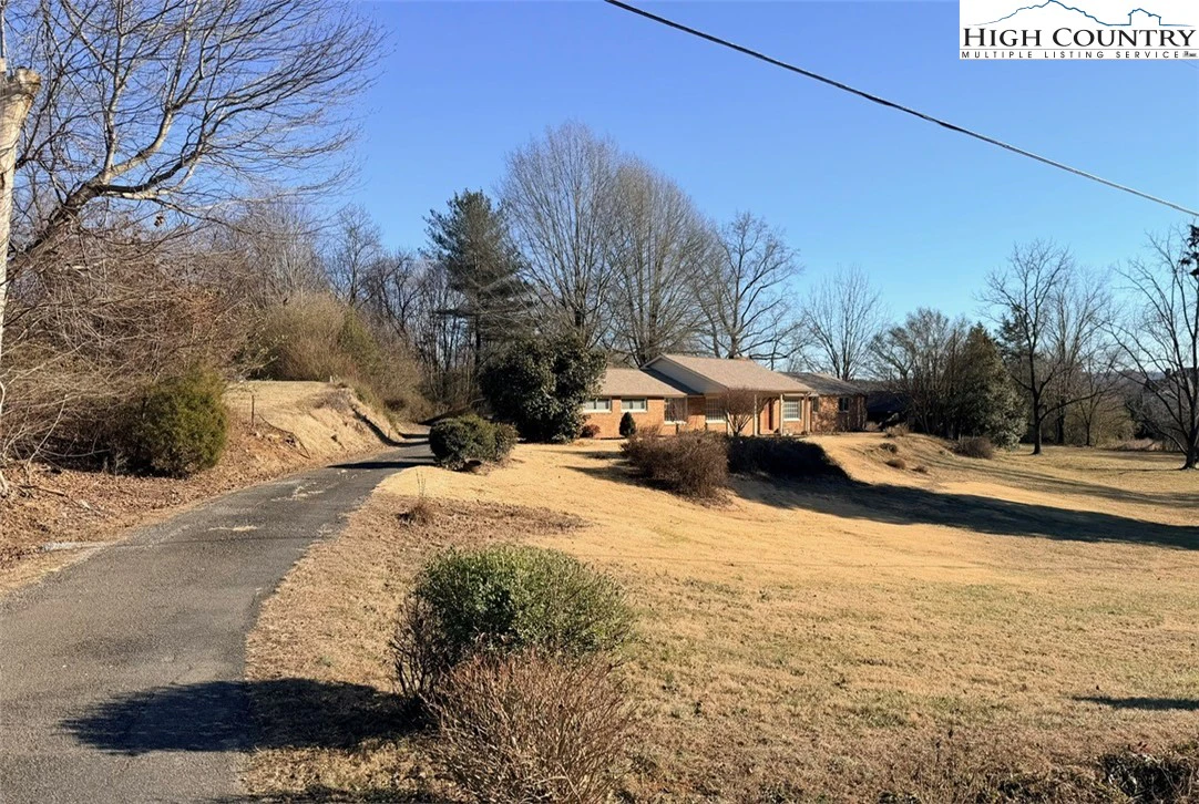 Image number 1 for the current listing