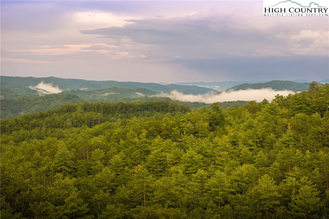 Image number 1 for the current listing