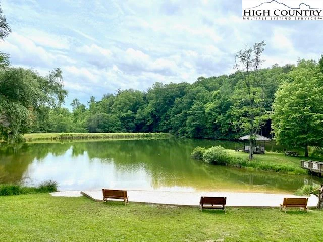 Image number 19 for the current listing