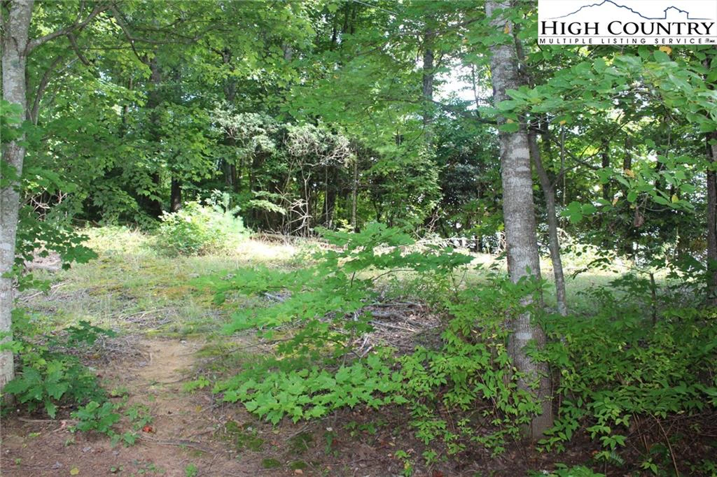 Image number 3 for the current listing