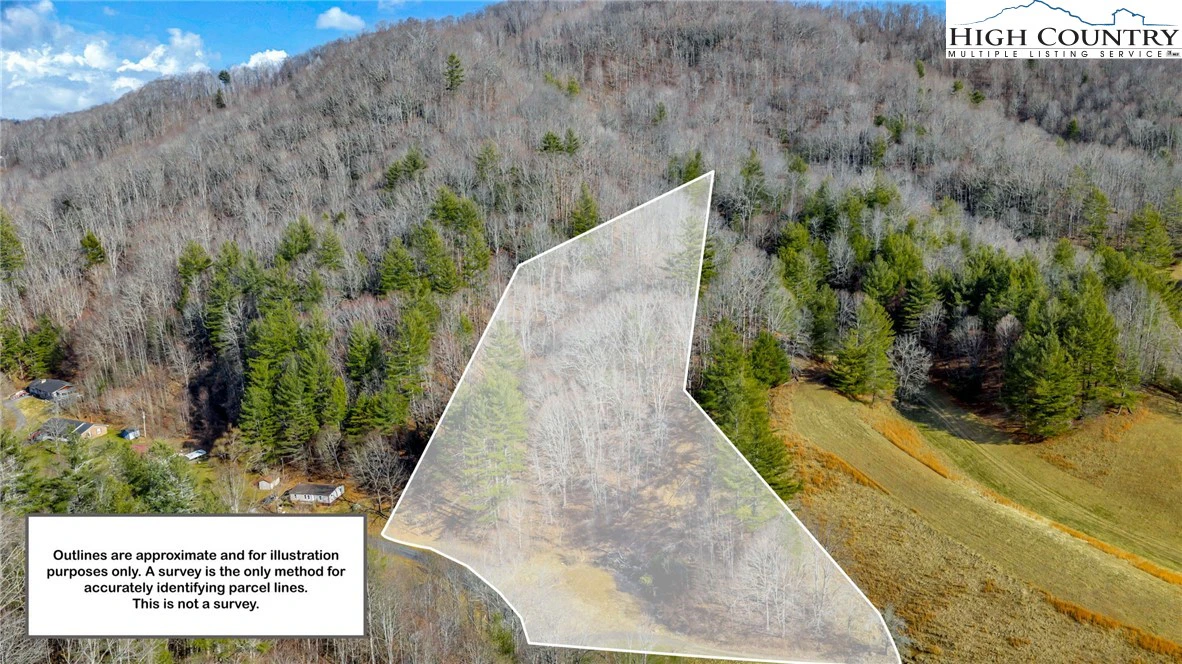 Image number 1 for the current listing