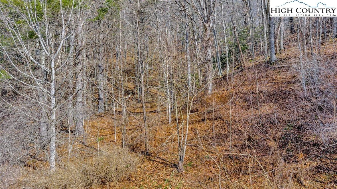 Image number 11 for the current listing