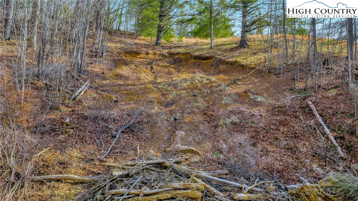 Image number 2 for the current listing