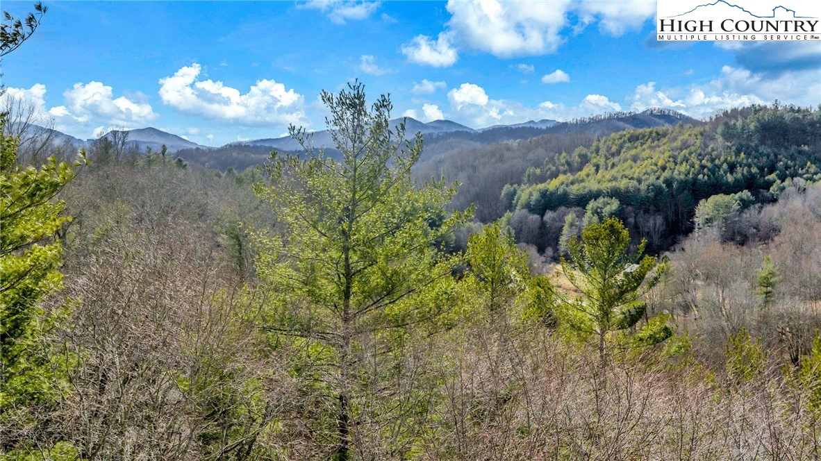 Image number 10 for the current listing