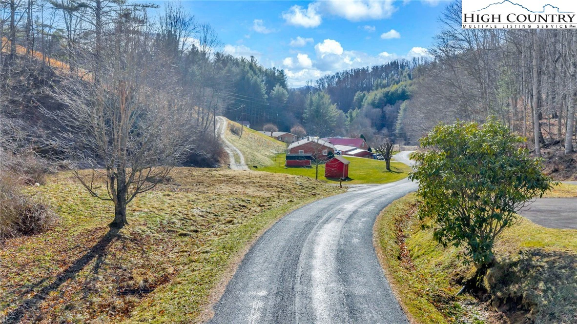 Image number 12 for the current listing