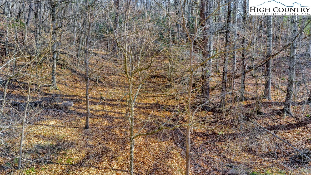 Image number 7 for the current listing
