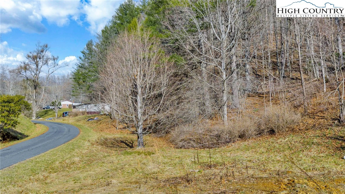 Image number 4 for the current listing