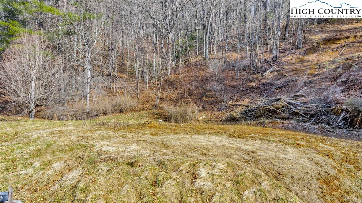 Image number 14 for the current listing