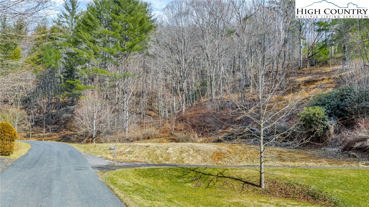Image number 3 for the current listing
