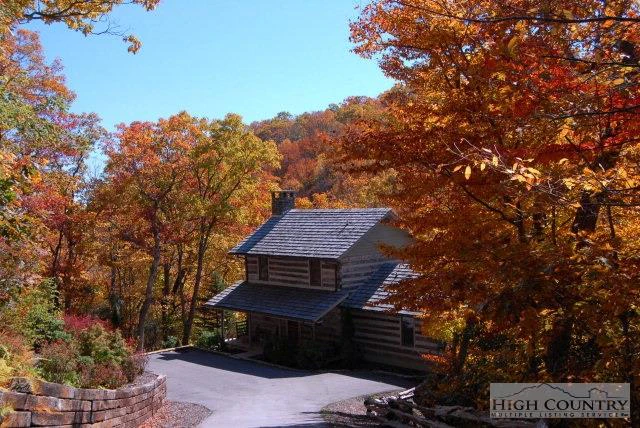 Image number 1 for the current listing